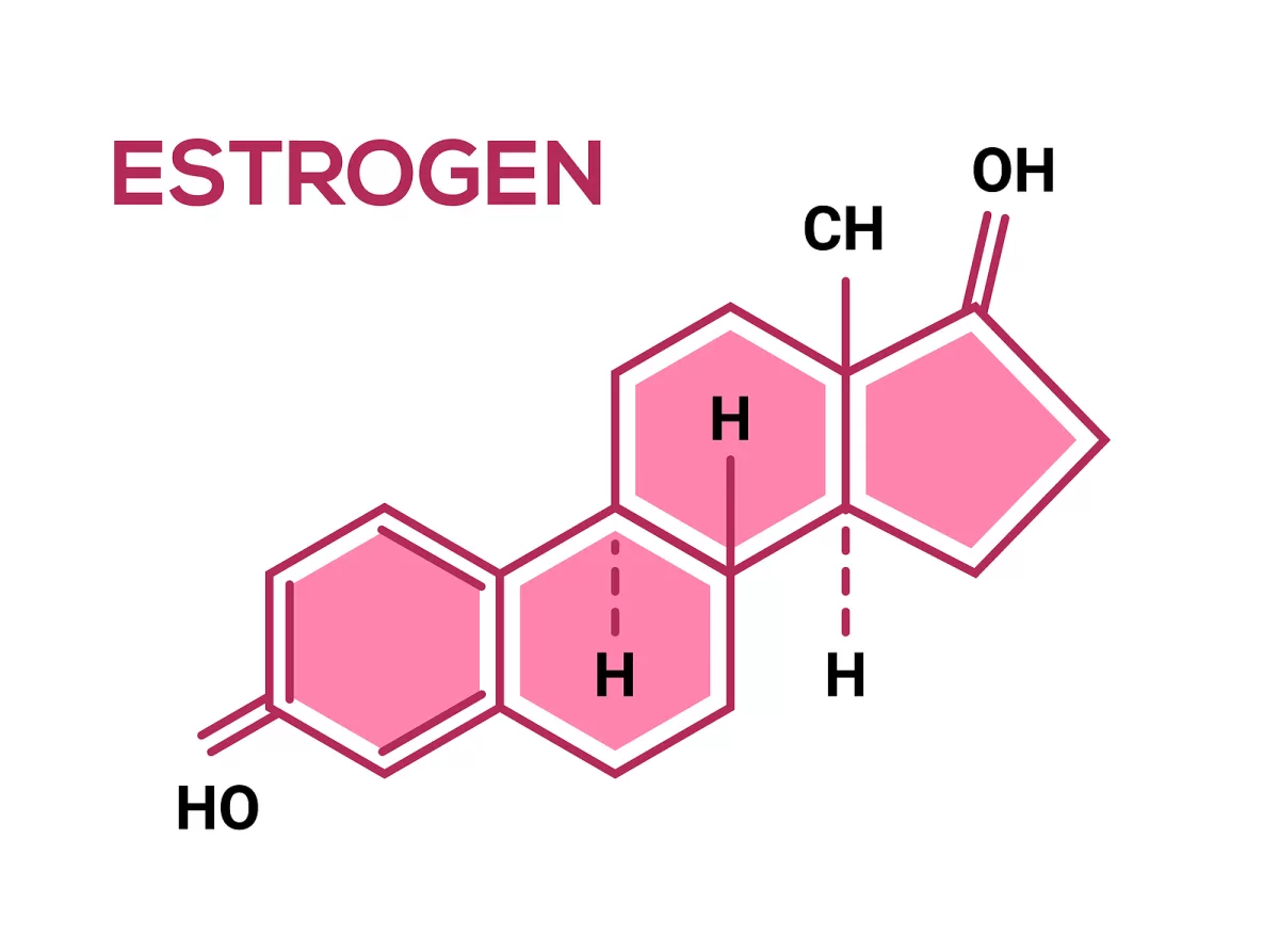 estrogen hormone replacement therapy for menopausal women
